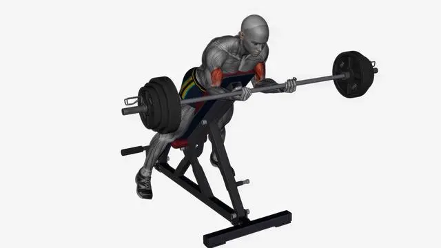 Spider curl barbell (2)