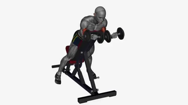 Spider curl dumbbells simultaneous (2)