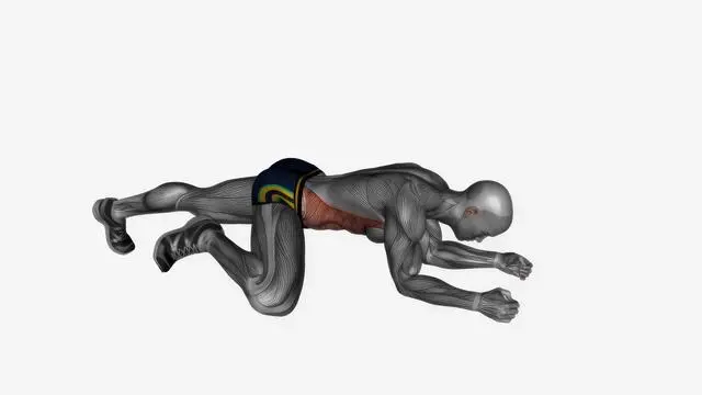 Spider plank (2)