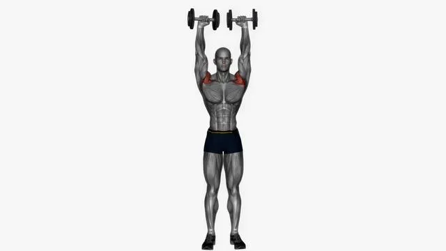 Standing arnold press dumbbell (2)