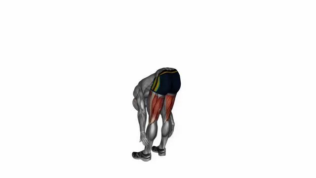 Standing bow hamstring stretch (2)