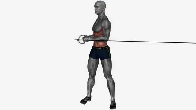 Standing cable oblique twist (2)
