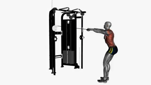 Standing lat cable pull over (2)