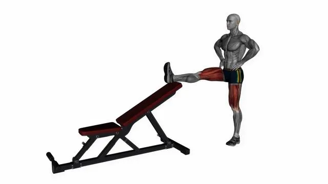 Standing leg elevated hamstring stretch (2)