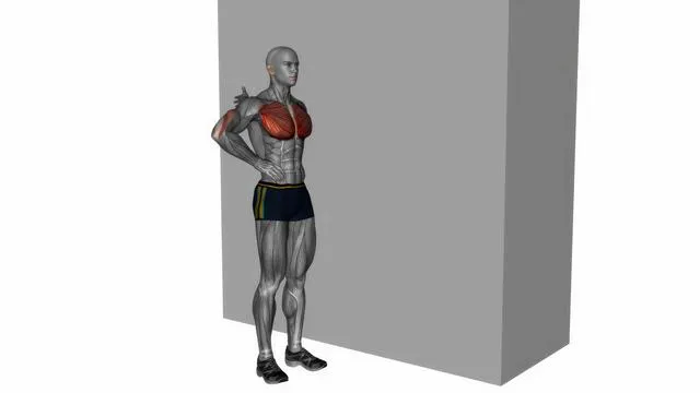 Standing one arm chest stretch (2)
