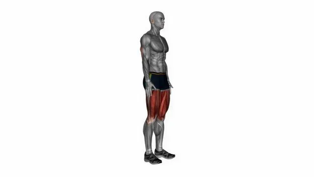 Standing quadriceps stretch (3)