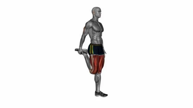 Standing quadriceps stretch (4)