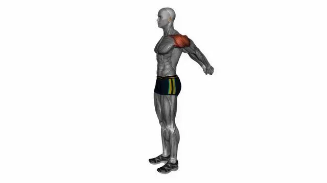 Standing reverse shoulder stretch (2)