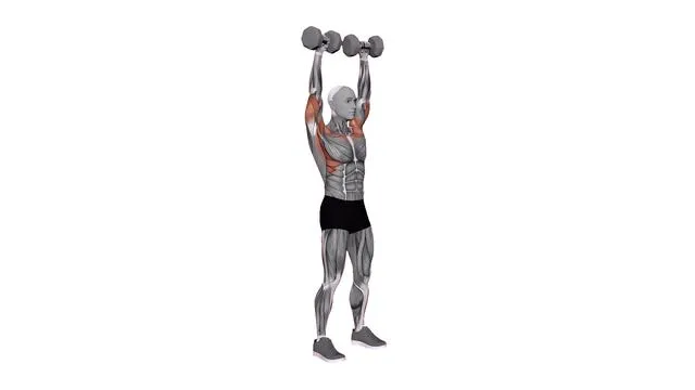 Standing shoulder press dumbbell (2)