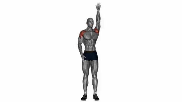 Standing swimmer (2)