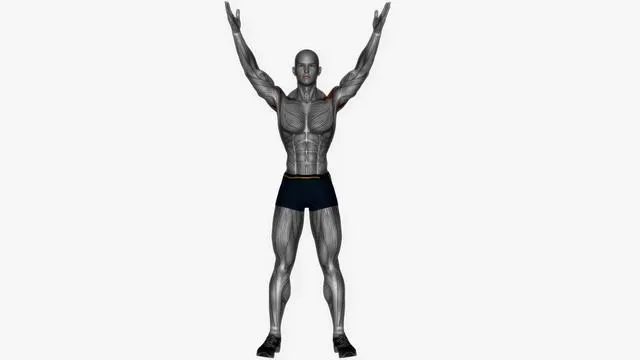 Standing Y raise (2)