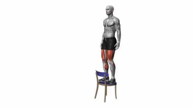 Step up on chair bodyweight (2)