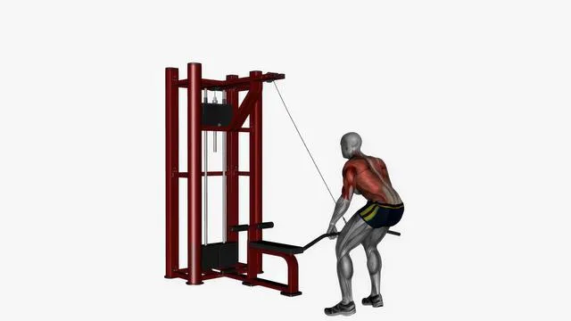 Straight bar cable pull down (2)