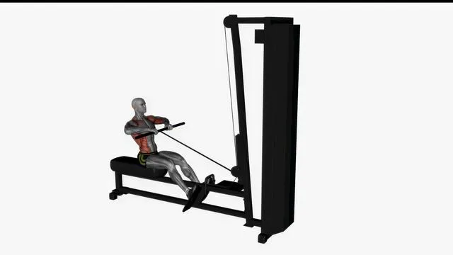 Straight bar cable row close grip (2)