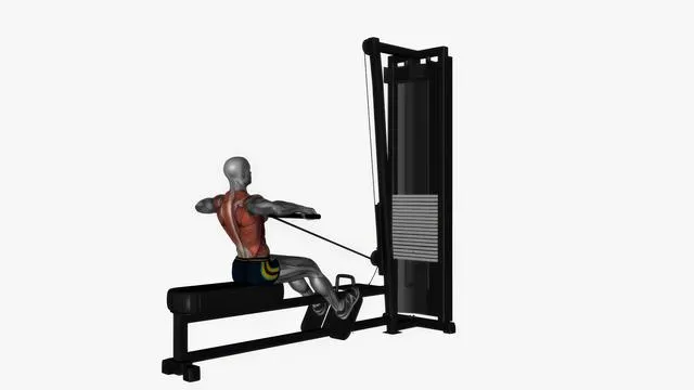 Straight bar cable row normal grip (2)