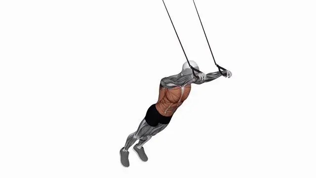 Suspension Trainer with Grips Abdominal Fallout (2)