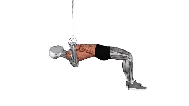 Suspension Trainer with Grips Bent Knee Inverted Row (2)