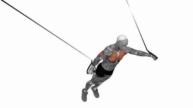 Suspension Trainer with Grips Chest Fly (2)