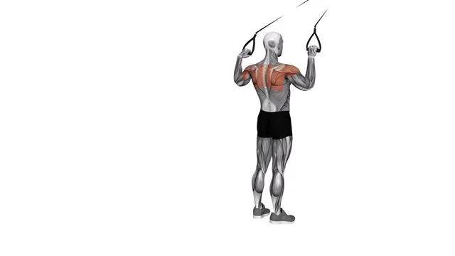 Suspension Trainer with Grips Face Pull (2)