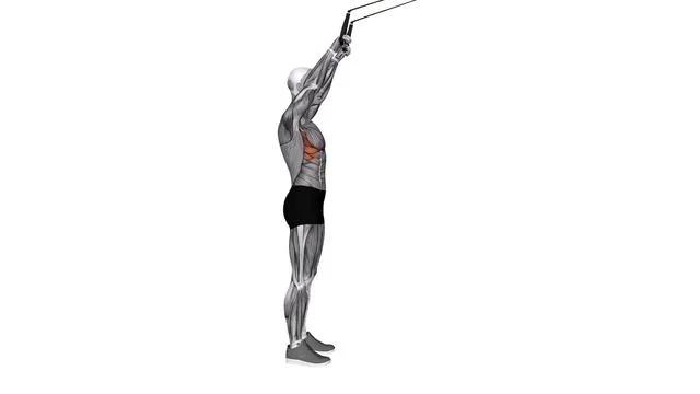 Suspension Trainer with Grips Front Raise (2)