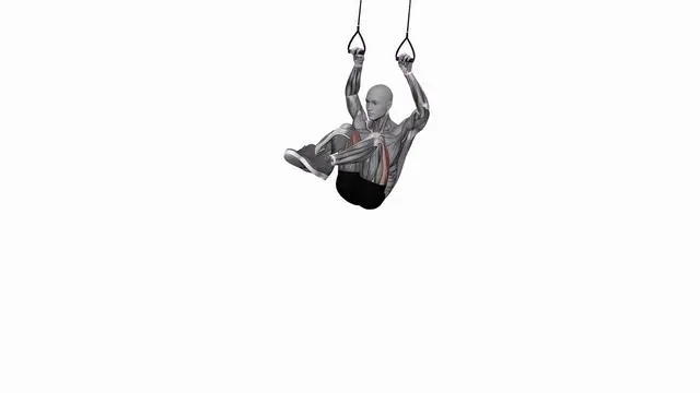 Suspension Trainer with Grips Hanging Knees to Elbows (2)