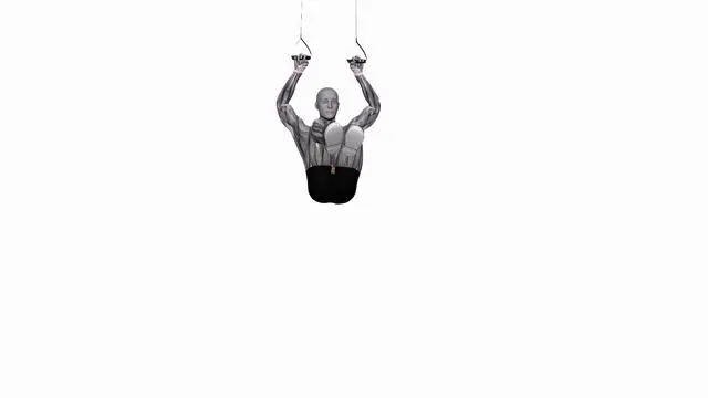 Suspension Trainer with Grips Hanging Leg Hip Raise (2)
