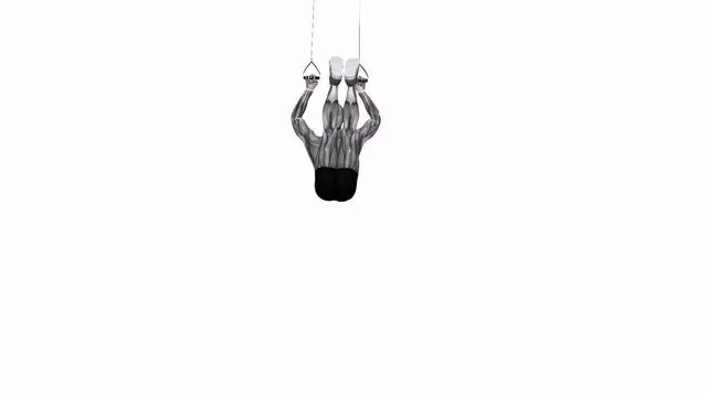 Suspension Trainer with Grips Hanging Straight Leg Hip Raise (2)