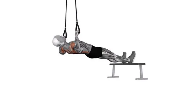 Suspension Trainer with Grips Inverted Row (2)