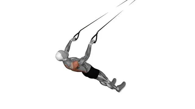 Suspension Trainer with Grips Inverted Row (3)