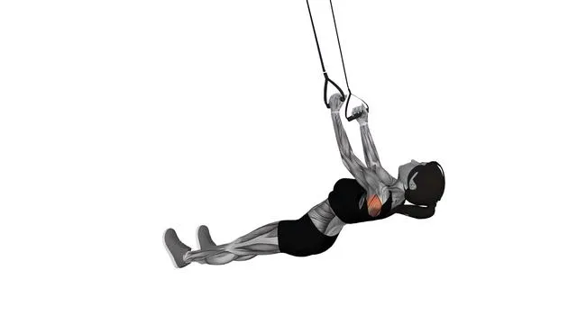 Suspension Trainer with Grips Inverted Row (4)