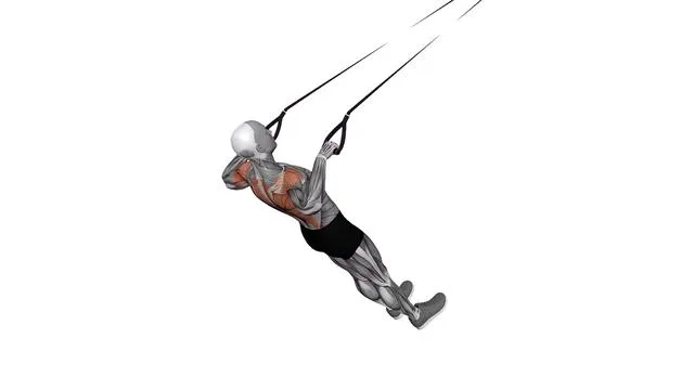 Suspension Trainer with Grips Inverted Row (5)