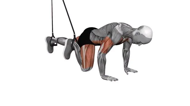 Suspension Trainer with Grips Mountain Climber (2)