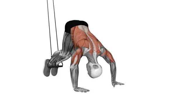 Suspension Trainer with Grips Pike (2)