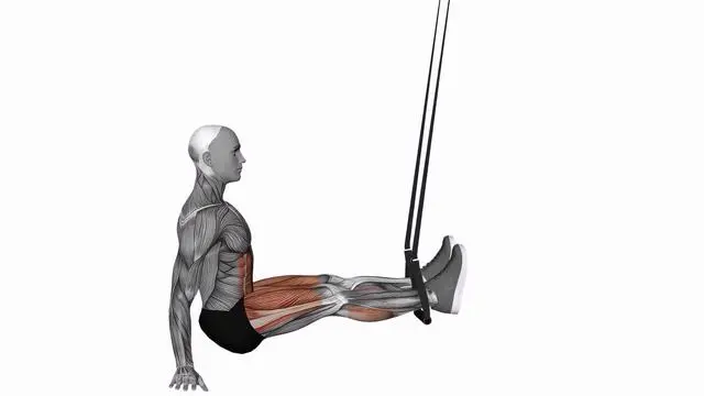 Suspension Trainer with Grips Pull Through (2)