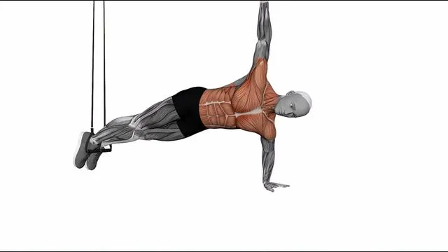 Suspension Trainer with Grips Push-up to Side Plank (2)