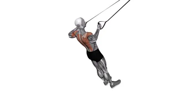 Suspension Trainer with Grips Rear Delt Row (2)