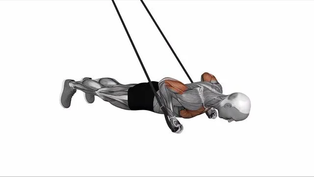 Suspension Trainer with Grips Reverse Push-up (2)