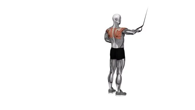 Suspension Trainer with Grips Single Arm Rear Delt Row (2)