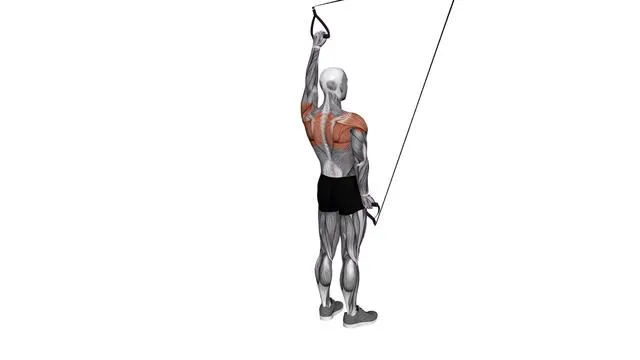 Suspension Trainer with Grips Split Fly (2)