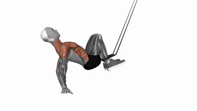 Suspension Trainer with Grips Supine Crunch (2)