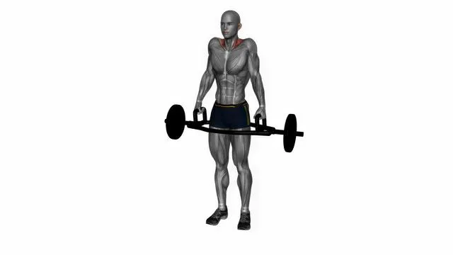 Trap bar shrug (2)