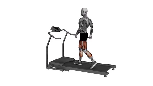 Treadmill walk (2)