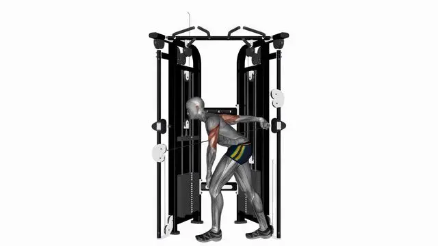 Tricep cable kickback on crossover machine (2)