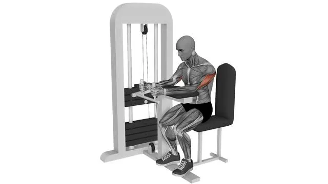 Tricep extension machine (2)