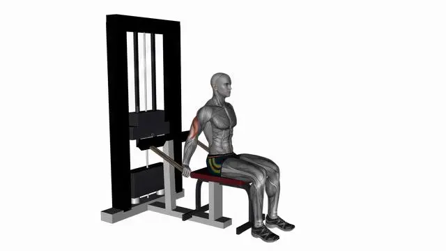 Triceps dip machine (2)