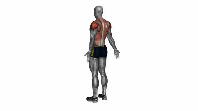 Upper back stretch (2)
