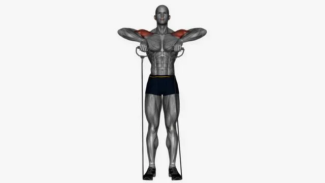 Upright row cable Resistance band (2)