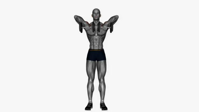 Upright row dumbbell (2)