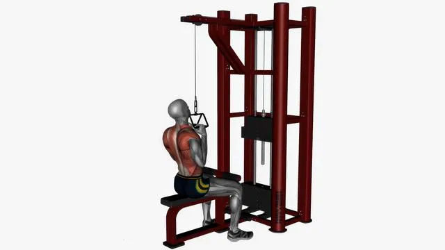 V bar lat pull down (2)