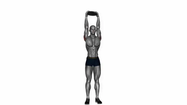 weighted standing shoulder press with plate (2)